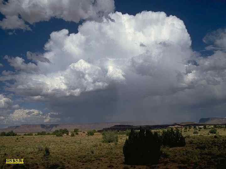 назад 
