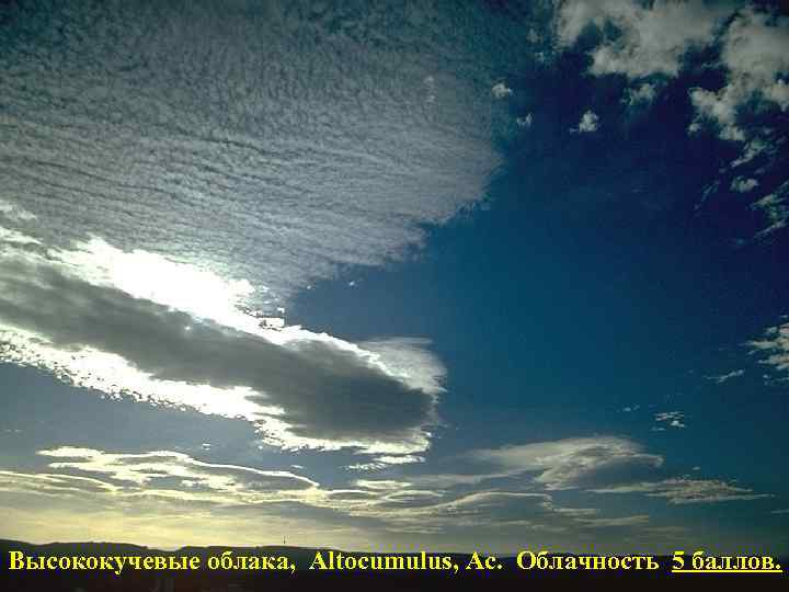 Высококучевые облака, Altocumulus, Ac. Облачность 5 баллов. 