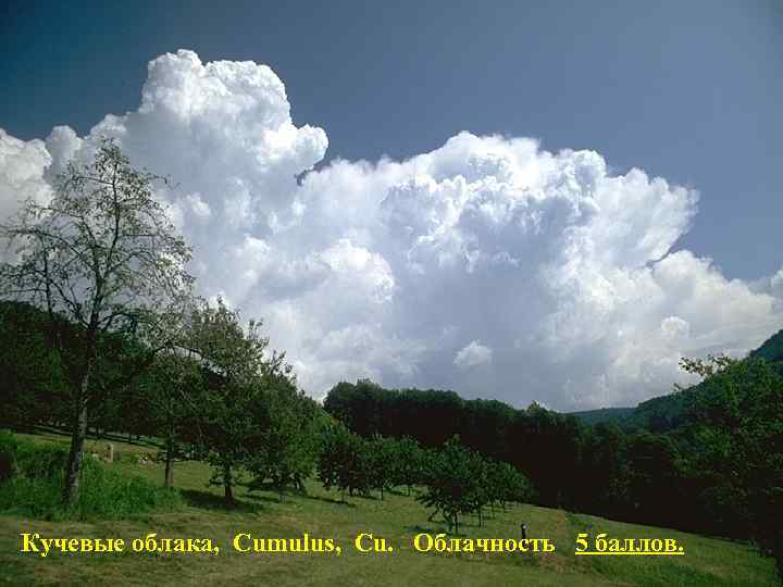 Кучевые облака, Cumulus, Cu. Облачность 5 баллов. 