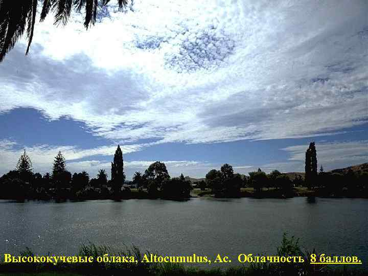 Высококучевые облака, Altocumulus, Ac. Облачность 8 баллов. 