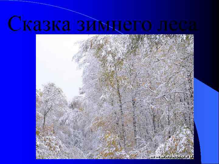 Сказка зимнего леса 