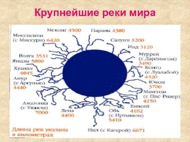 Крупнейшие реки мира 