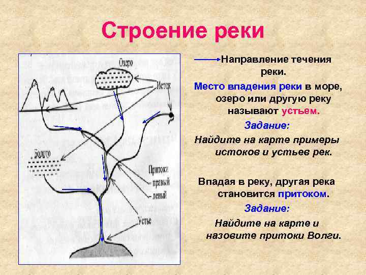 Строение реки Направление течения реки. Место впадения реки в море, озеро или другую реку