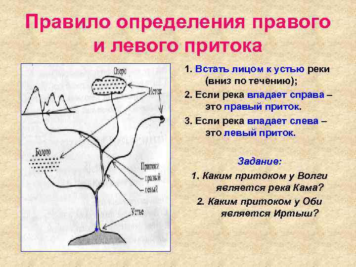 Правило определения правого и левого притока 1. Встать лицом к устью реки (вниз по