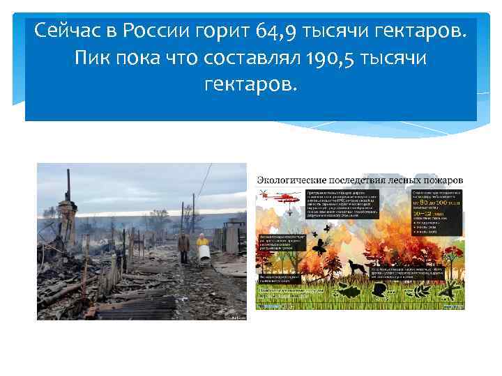 Сейчас в России горит 64, 9 тысячи гектаров. Пик пока что составлял 190, 5