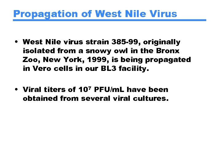 Propagation of West Nile Virus • West Nile virus strain 385 -99, originally isolated