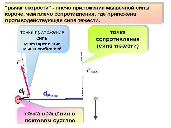 Приложения усилий