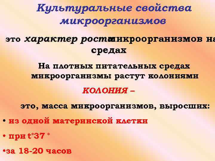 Свойства бактерий. Культурные свойства бактерий микробиология. Культуральные свойства бактерий. Культуральные свойства микроорганизмов. Культуральные и биохимические свойства бактерий.