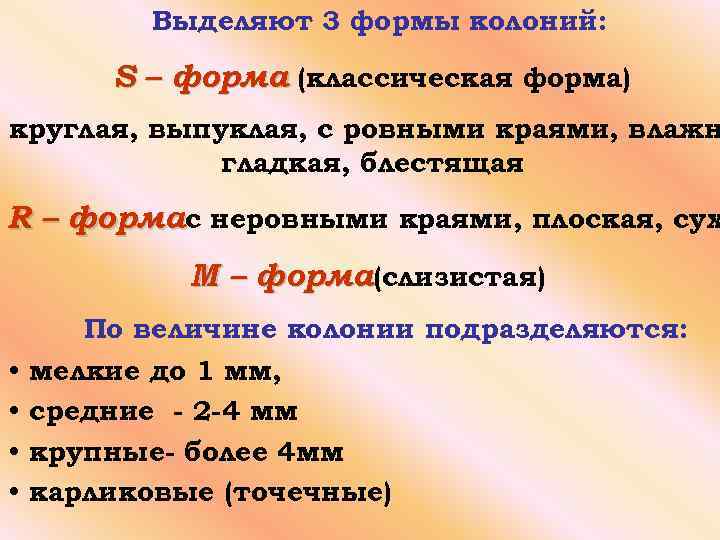 Выделяют 3 формы колоний: S – форма (классическая форма) круглая, выпуклая, с ровными краями,