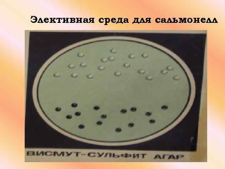 Элективная среда для сальмонелл 