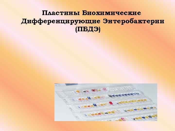 Пластины Биохимические Дифференцирующие Энтеробактерии (ПБДЭ) 