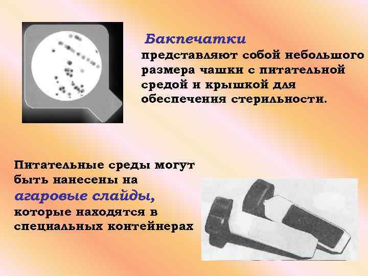 Бакпечатки представляют собой небольшого размера чашки с питательной средой и крышкой для обеспечения стерильности.