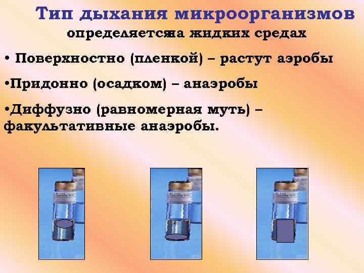 Тип дыхания микроорганизмов определяется жидких средах на • Поверхностно (пленкой) – растут аэробы •
