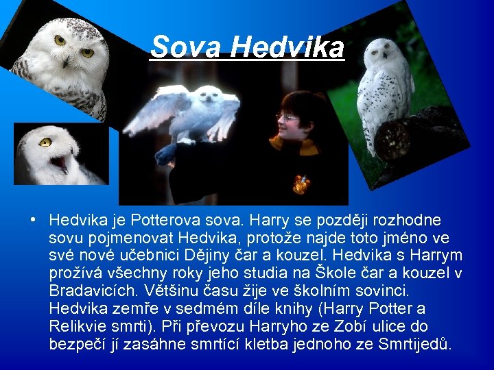 Sova Hedvika • Hedvika je Potterova sova. Harry se později rozhodne sovu pojmenovat Hedvika,