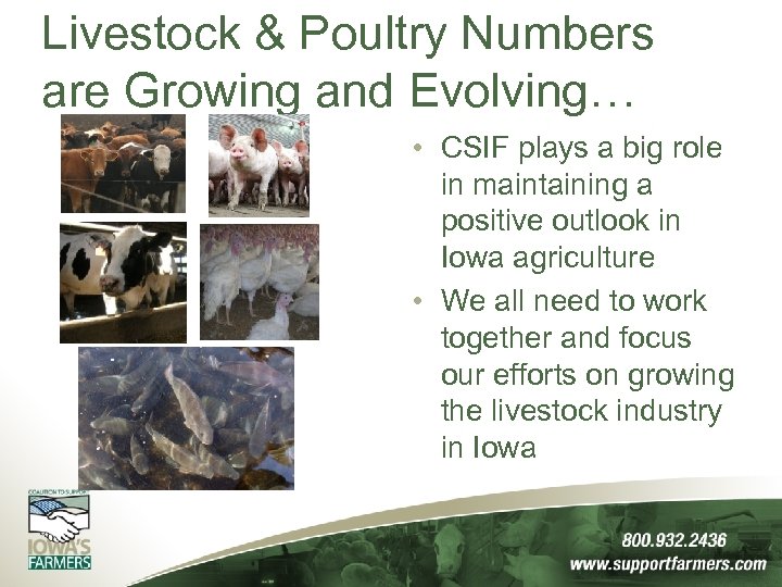 Livestock & Poultry Numbers are Growing and Evolving… • CSIF plays a big role