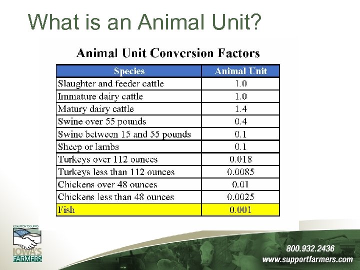 What is an Animal Unit? 