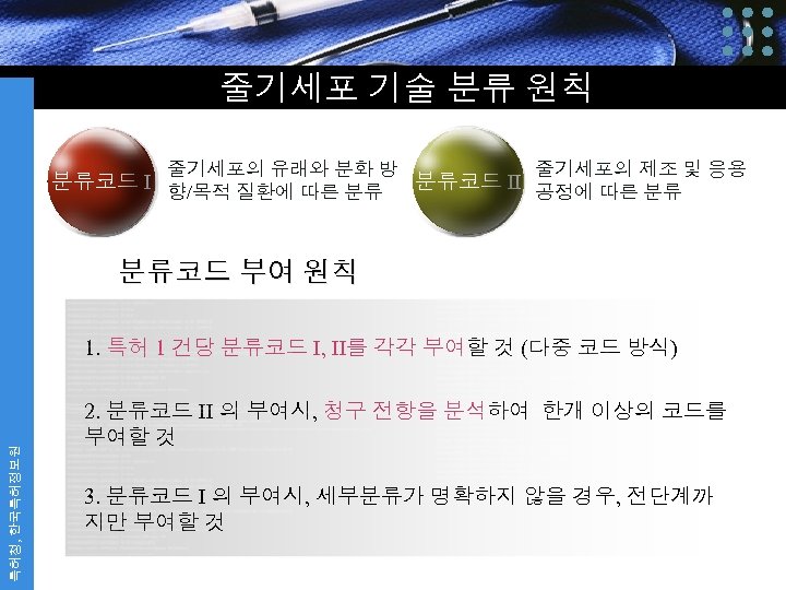 줄기세포 기술 분류 원칙 줄기세포의 유래와 분화 방 분류코드 I 향/목적 질환에 따른 분류