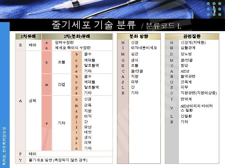 줄기세포 기술 분류 / 분류코드 I. 1차유래 E 배아 2차(분화)유래 e n 잉여수정란 체세포