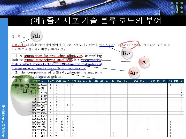 (예) 줄기세포 기술 분류 코드의 부여 Ah BA A Am 특허청, 한국특허정보원 분류코드 의
