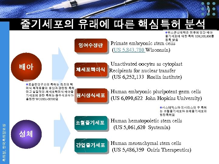 줄기세포의 유래에 따른 핵심특허 분석 l위스콘신대학은 이후에 인간 배아 줄기세포에 대한 특허 US 6,