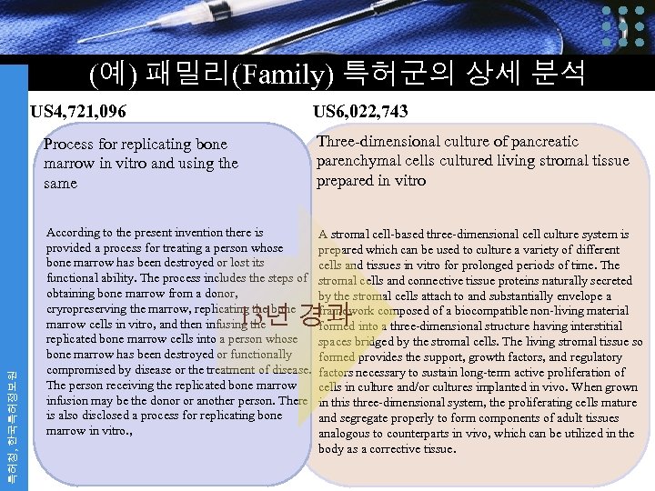 (예) 패밀리(Family) 특허군의 상세 분석 US 4, 721, 096 US 6, 022, 743 Process