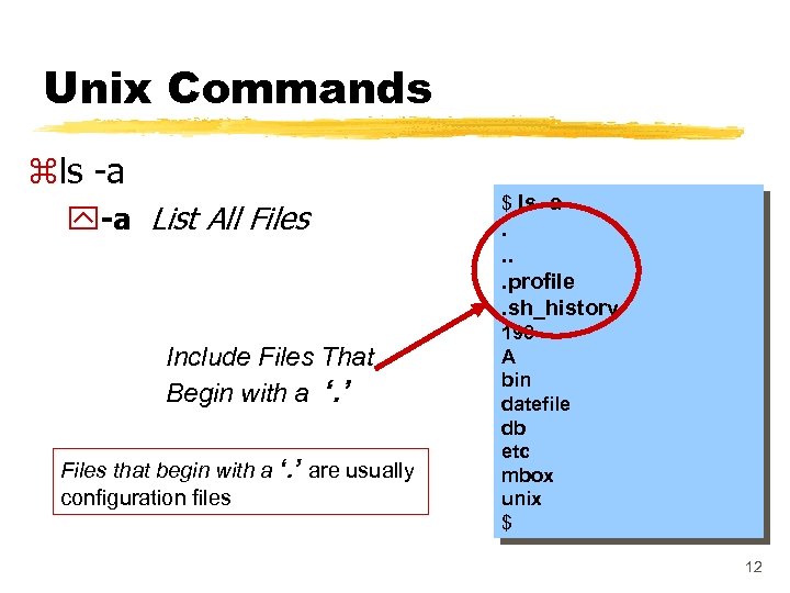 Unix Commands zls -a y-a List All Files Include Files That Begin with a