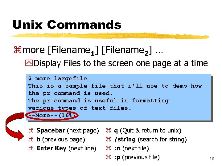 Unix Commands zmore [Filename 1] [Filename 2] … y. Display Files to the screen