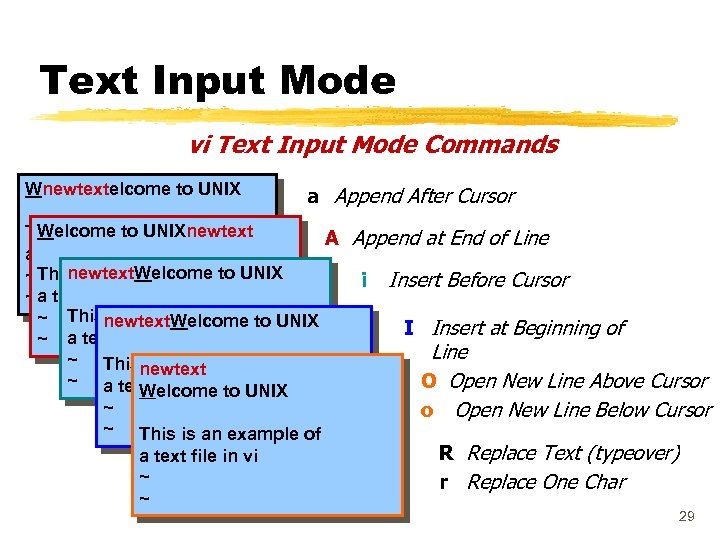 Text Input Mode vi Text Input Mode Commands Wnewtextelcome to UNIX a Append After