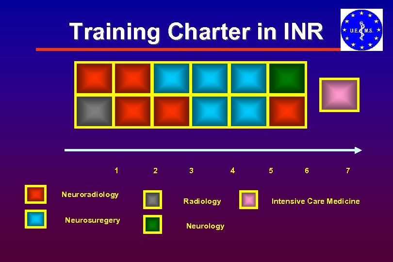 Training Charter in INR 1 Neuroradiology Neurosuregery 2 3 Radiology Neurology 4 5 6