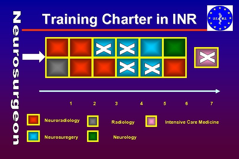Training Charter in INR 1 Neuroradiology Neurosuregery 2 3 Radiology Neurology 4 5 6