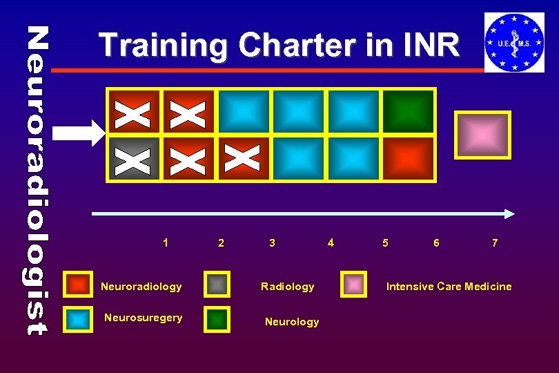 Training Charter in INR 1 Neuroradiology Neurosuregery 2 3 Radiology Neurology 4 5 6