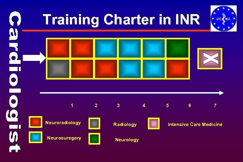 Training Charter in INR 1 Neuroradiology Neurosuregery 2 3 Radiology Neurology 4 5 6