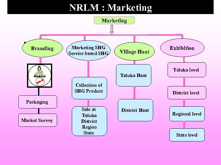 NRLM : Marketing BEÖòhÉ OÉÉ. {ÉÆ. Branding 90 Marketing SHG Service based SHG Village