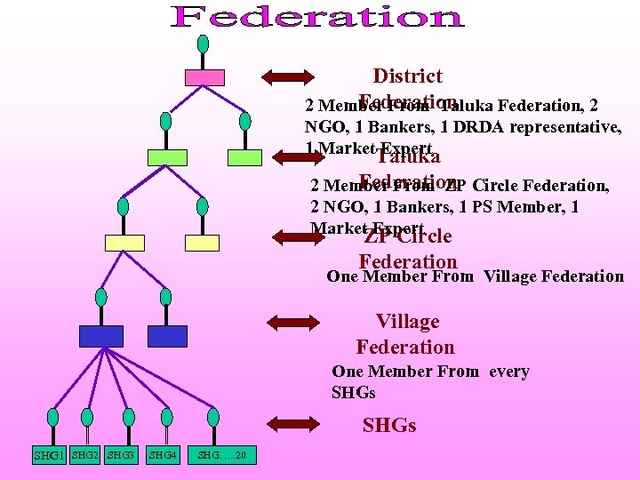 District Federation 2 Member From Taluka Federation, 2 NGO, 1 Bankers, 1 DRDA representative,