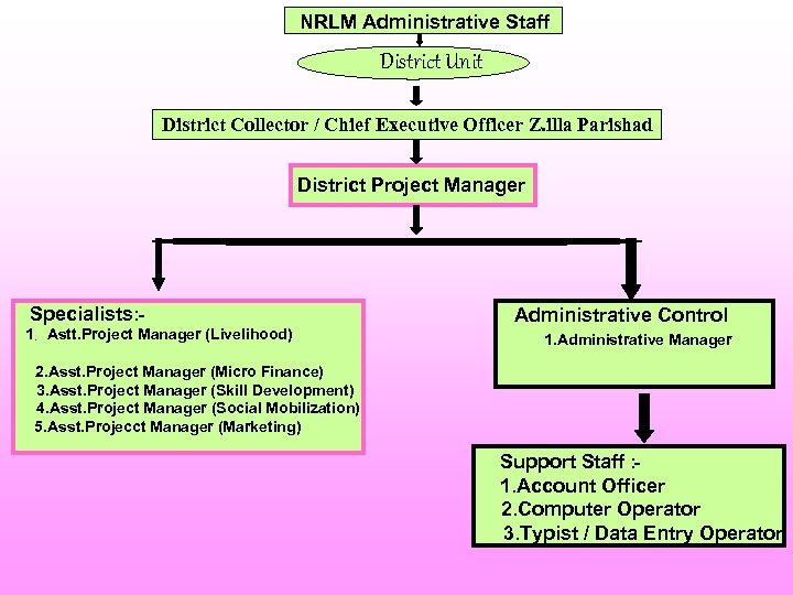 NRLM Administrative Staff District Unit District Collector / Chief Executive Officer Z. illa Parishad