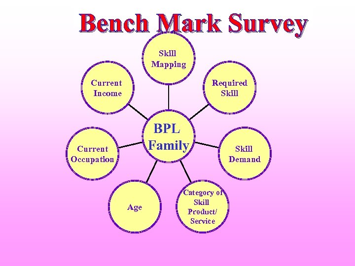 Bench Mark Survey Skill Mapping Current Income Required Skill BPL Family Current Occupation Age