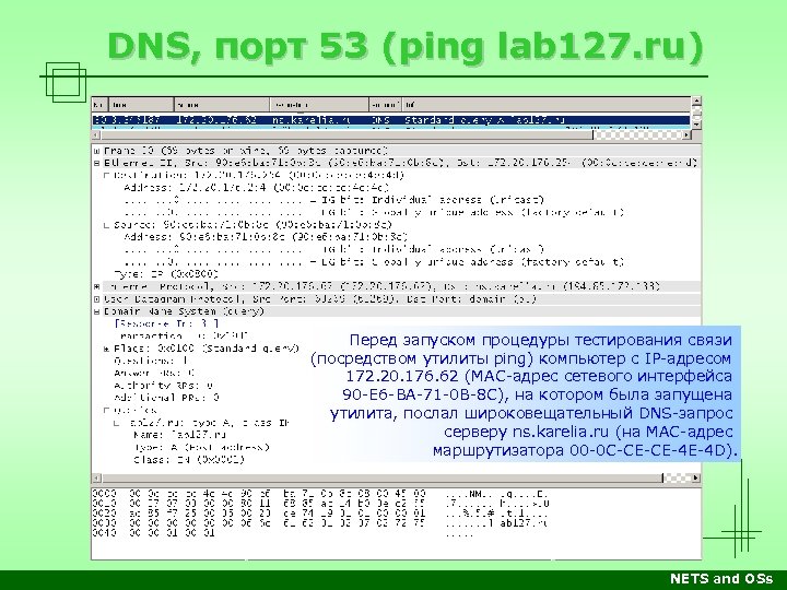 Dns какой порт. DNS порт. Порт для DNS 53. TCP порт для DNS. Внешний порт ДНС.