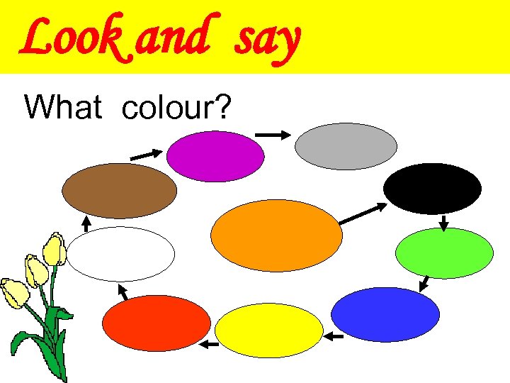 Look and say What colour? 