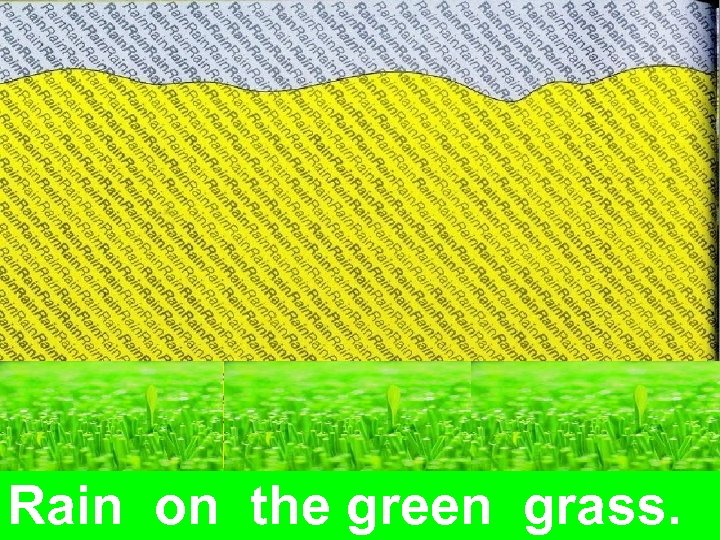 Rain on the green grass. 