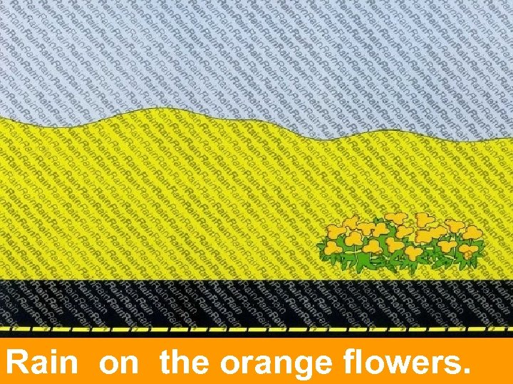 Rain on the orange flowers. 