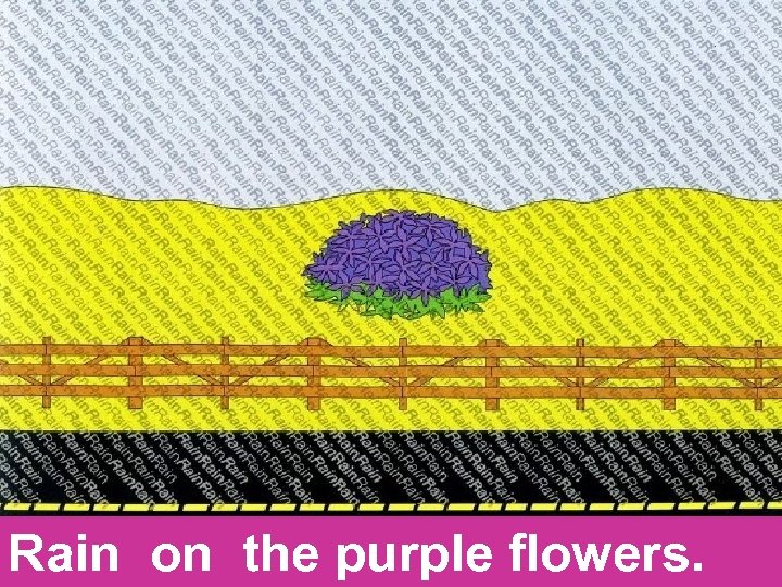 Rain on the purple flowers. 