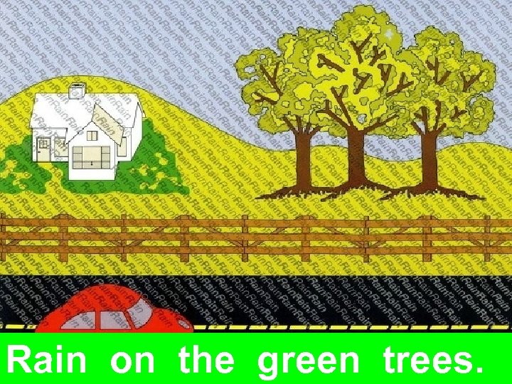 Rain on the green trees. 