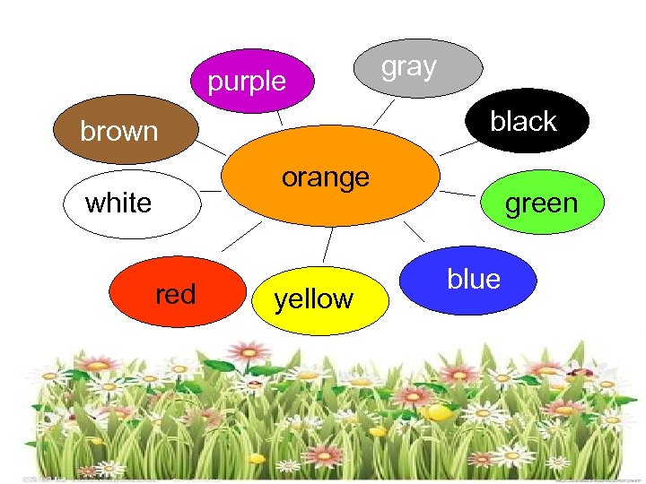 purple gray black brown orange white red yellow green blue 