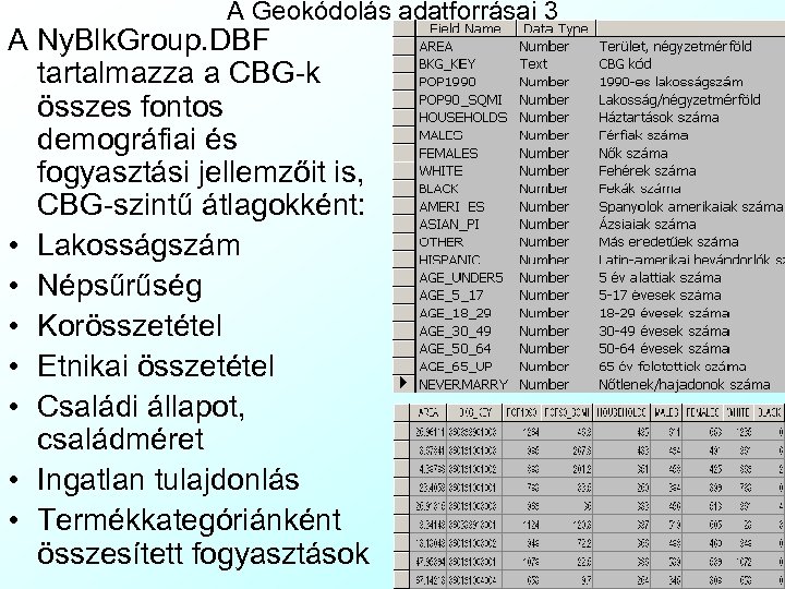 A Geokódolás adatforrásai 3 A Ny. Blk. Group. DBF tartalmazza a CBG-k összes fontos