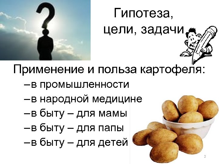Гипотеза, цели, задачи Применение и польза картофеля: – в промышленности – в народной медицине