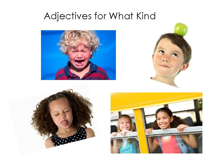 Adjectives for What Kind 