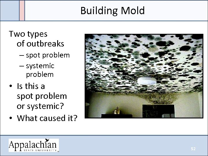 Building Mold Two types of outbreaks – spot problem – systemic problem • Is