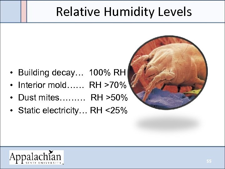 Relative Humidity Levels • • Building decay… 100% RH Interior mold…… RH >70% Dust