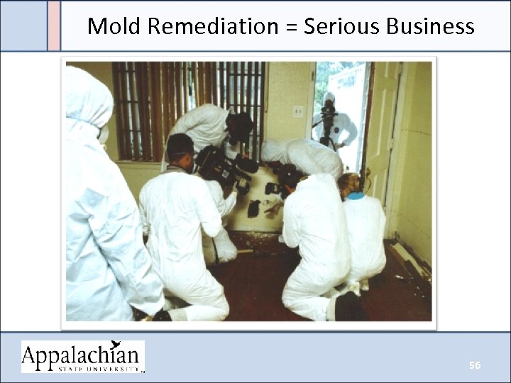 Mold Remediation = Serious Business 56 