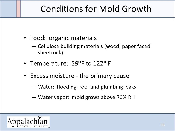 Conditions for Mold Growth • Food: organic materials – Cellulose building materials (wood, paper